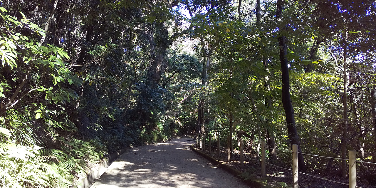 城山自然遊歩道