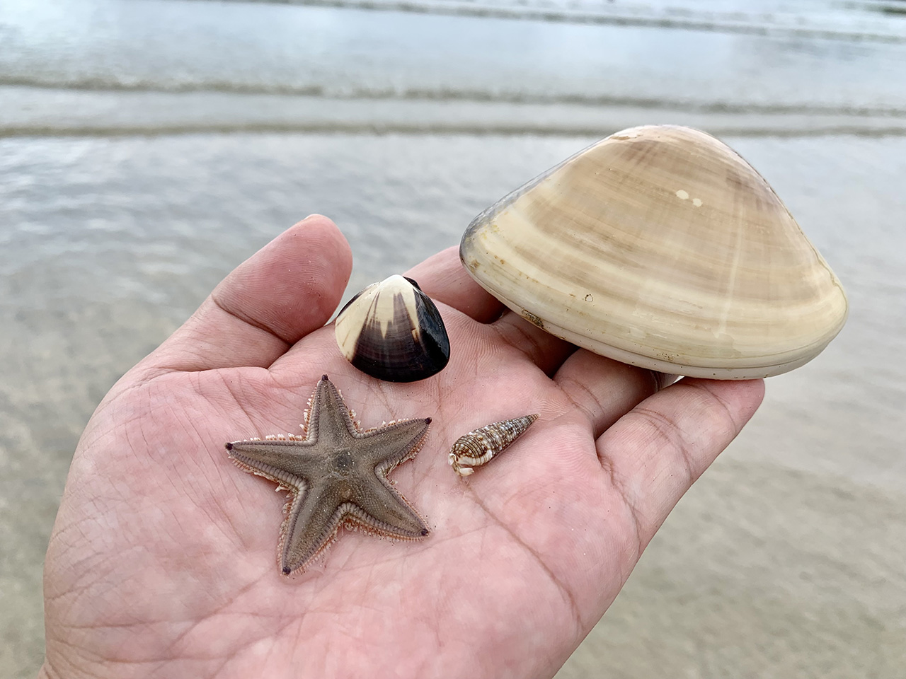 子供たちと海水浴に行きました！