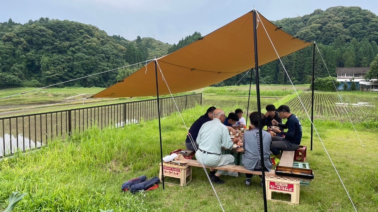 田植え