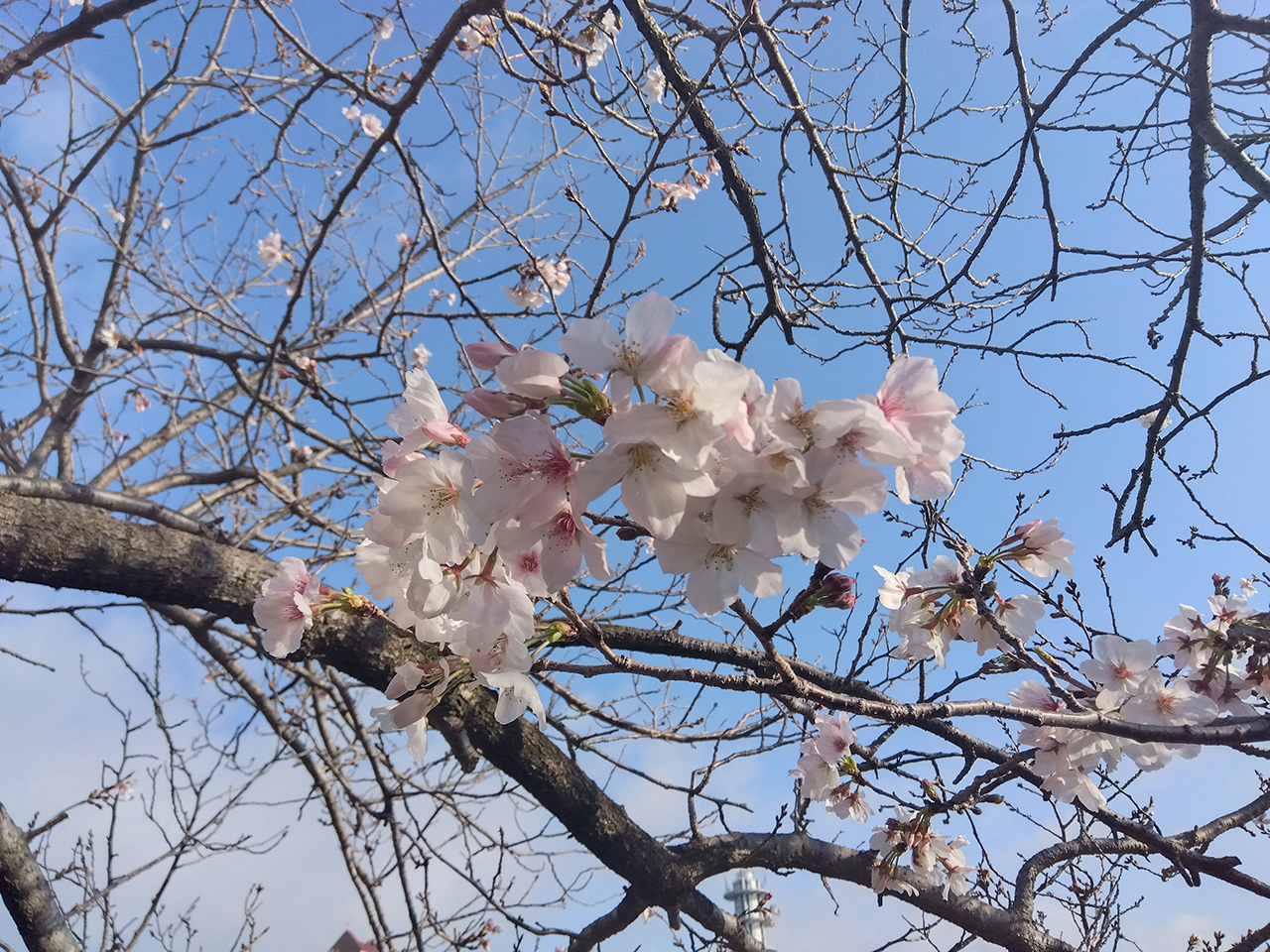 新年度スタート