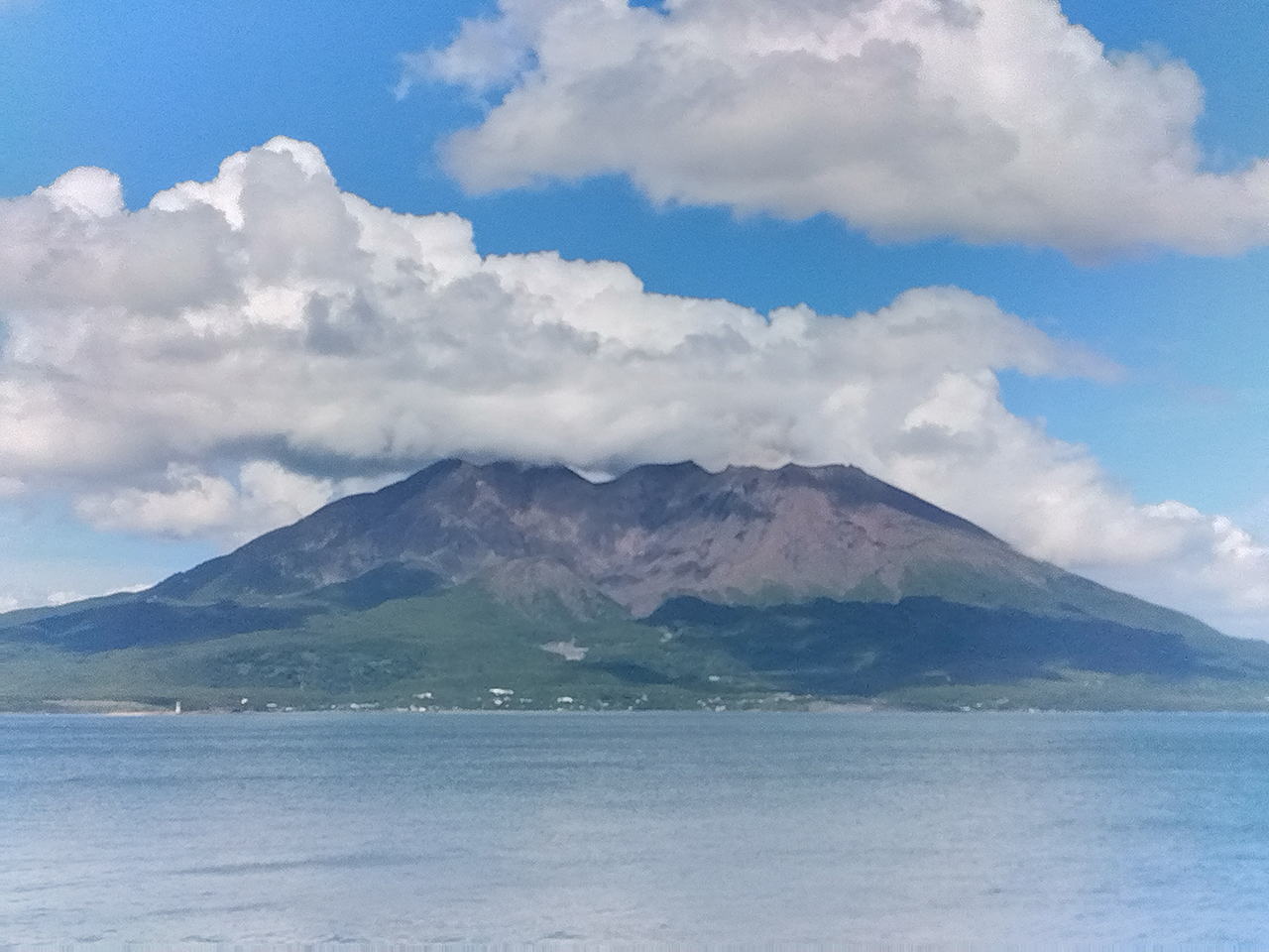青空が眩しいころとなりました