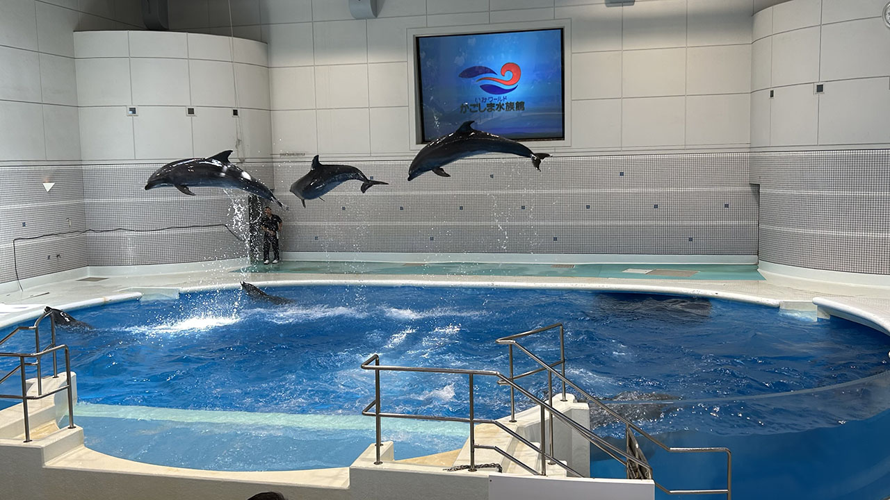 鹿児島水族館！