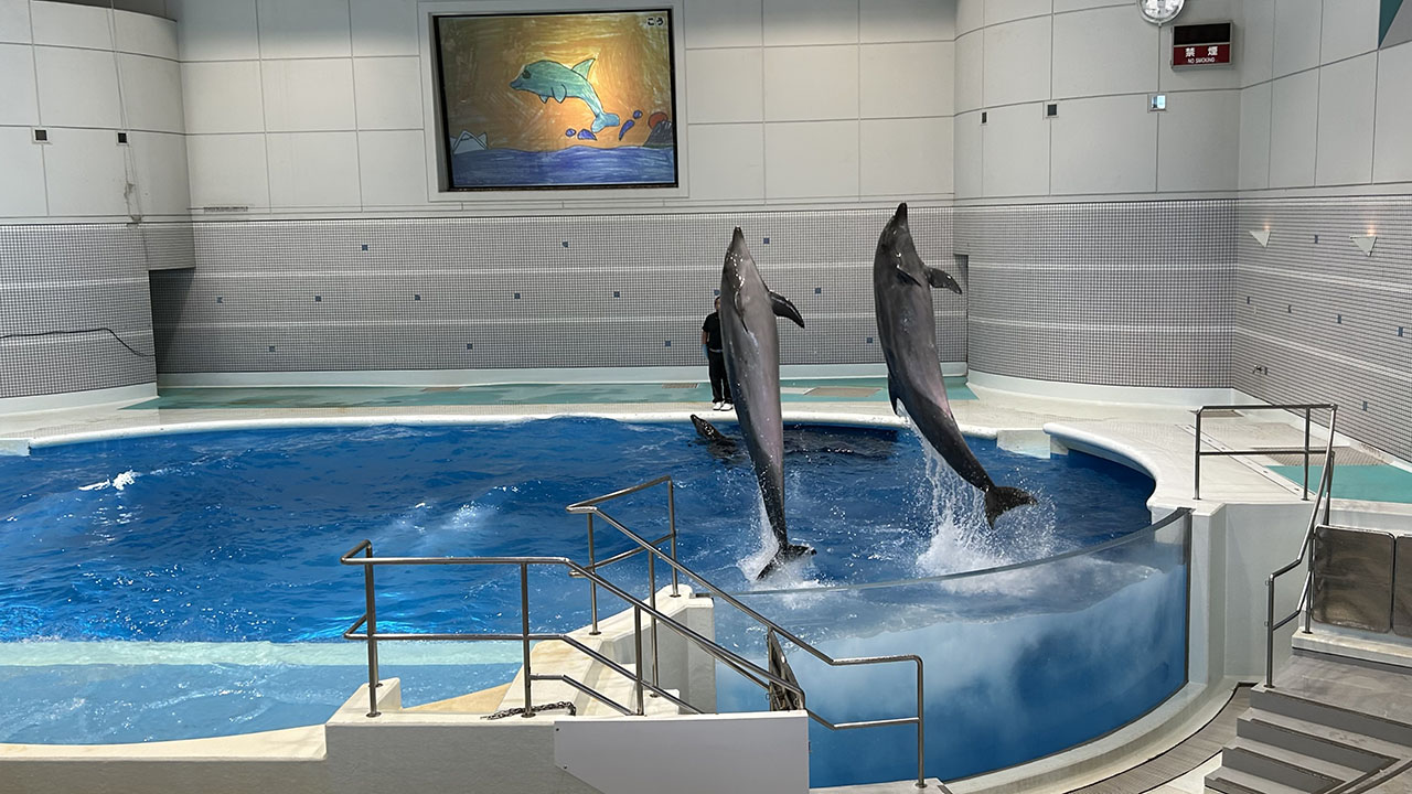 鹿児島水族館！