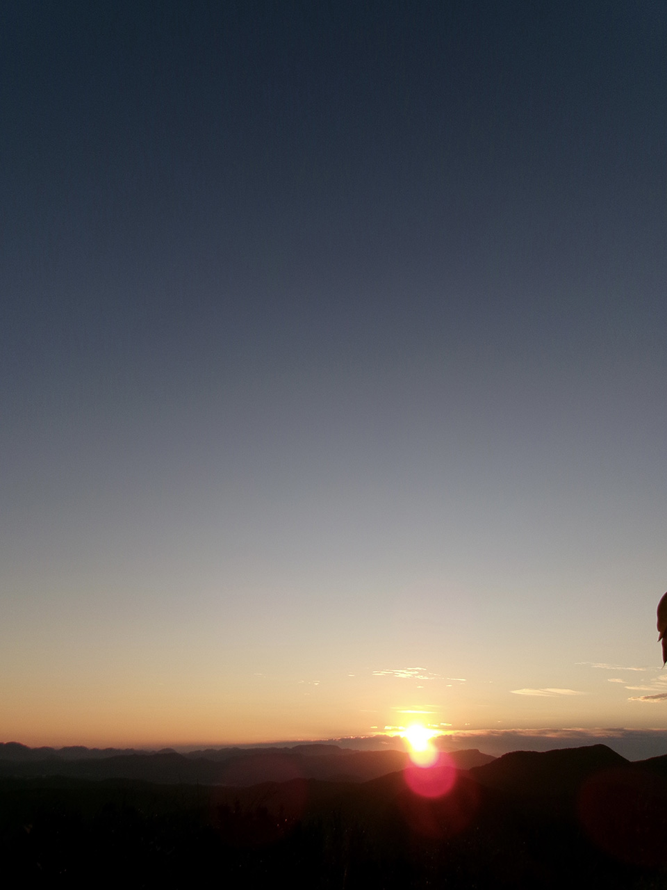 最近のマイブーム